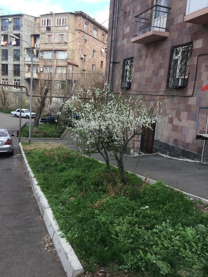 Apartment In The Center Of Erevan Esterno foto
